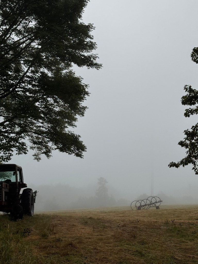 Foggy field with tractor