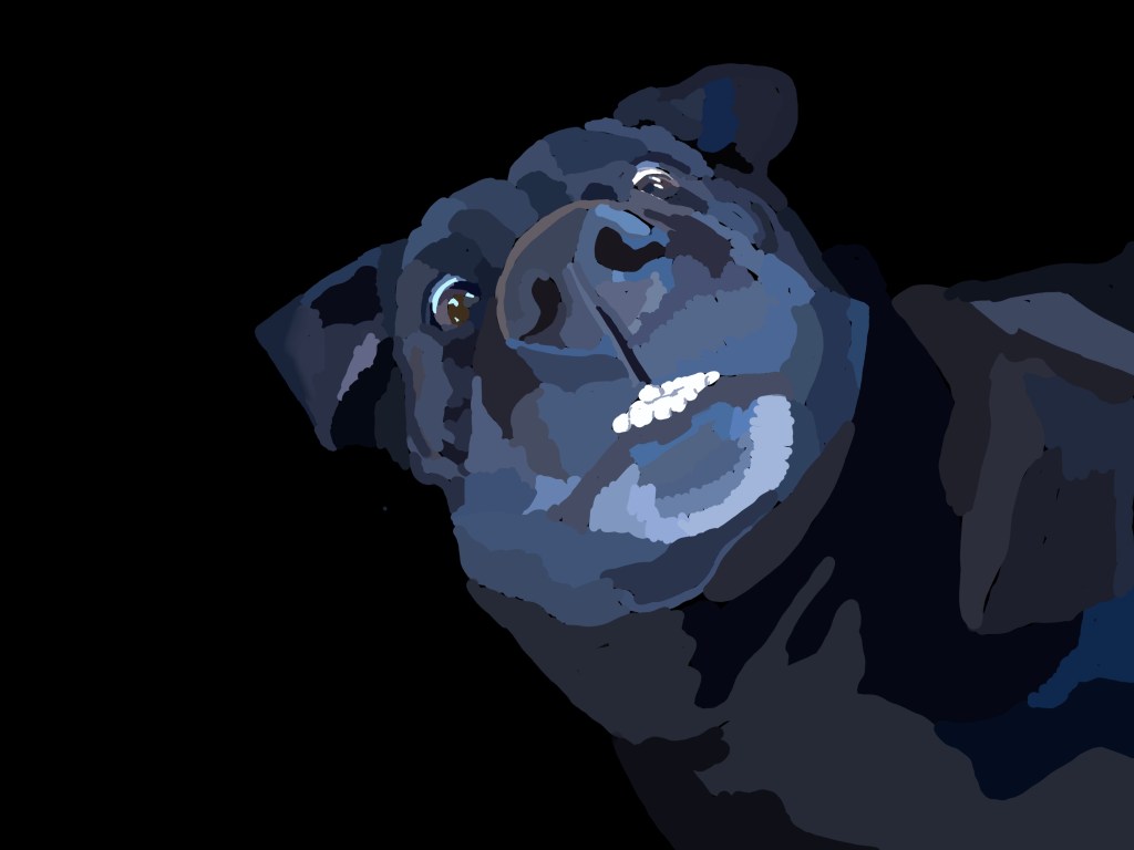 Black_dog_looking_up_smiling