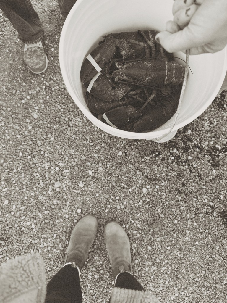 Bucker of lobsters with boots