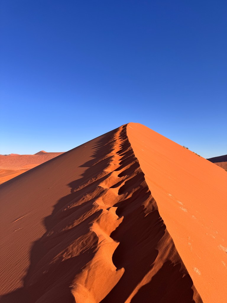 Red sand dune with bright blue sky 