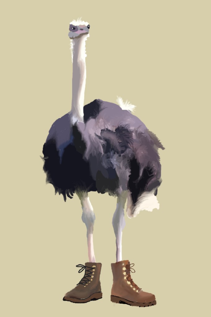 Ostrich_with_workboots_on