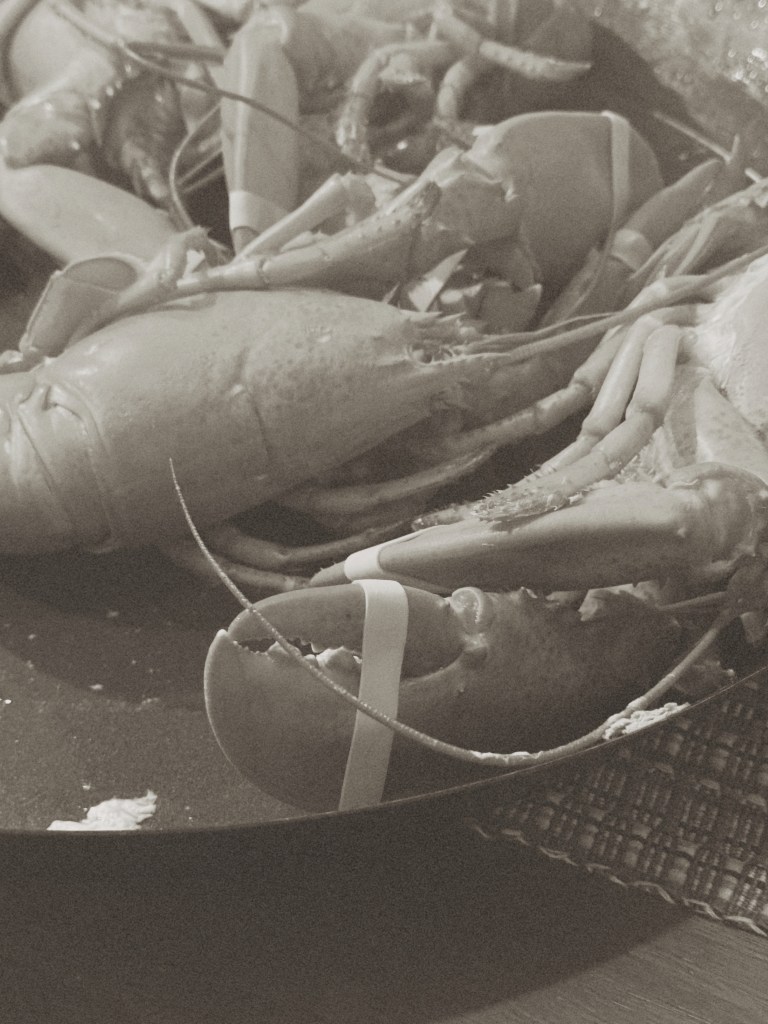 black and white lobsters